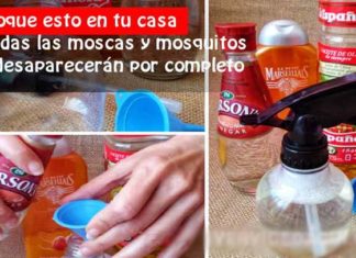 Mosquitos