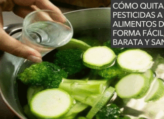 frutas y verduras